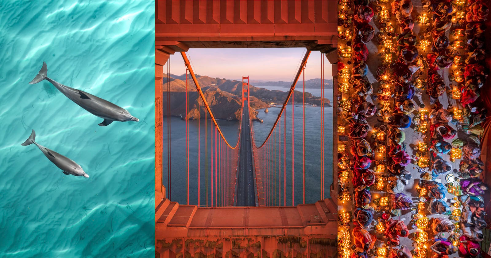 Three vertical panels: left shows two dolphins swimming in turquoise water; center shows the Golden Gate Bridge from above with mountains in the background; right shows an overhead view of a colorful, crowded festive table.
