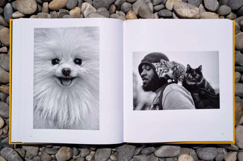 An open book on pebbles shows a fluffy white dog on the left page and a man with a cat and a kitten on his shoulders on the right page. Both images are in black and white.