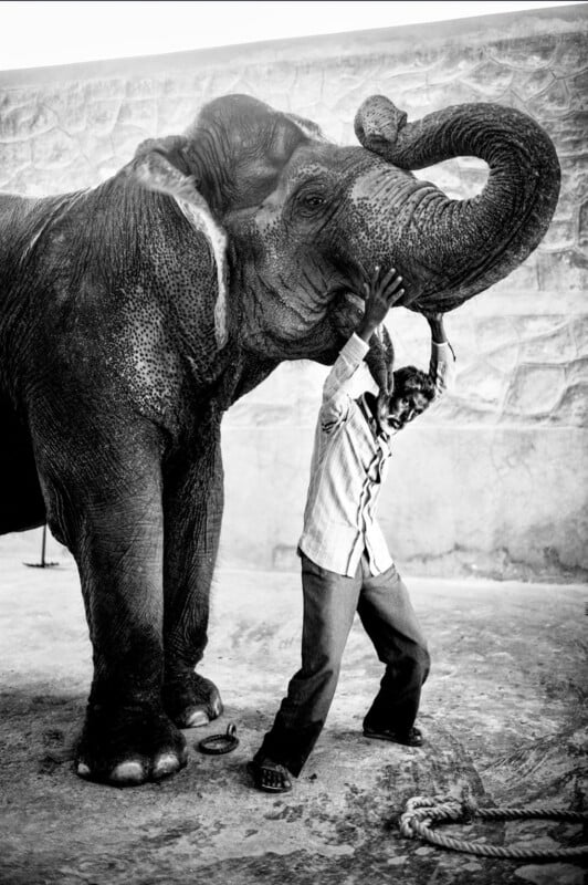 A man stands beside an elephant, lifting the animal’s trunk over his head with both hands. The scene is in black and white, and they are in a walled outdoor area.