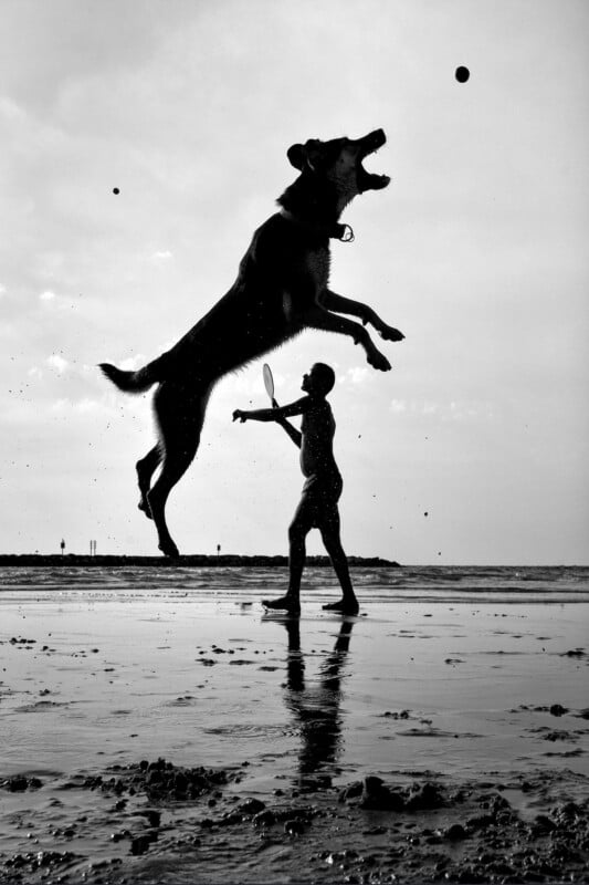 A dog leaps high in the air to catch a ball while a person with a tennis racket stands on a wet beach. The scene is in silhouette against the sky.