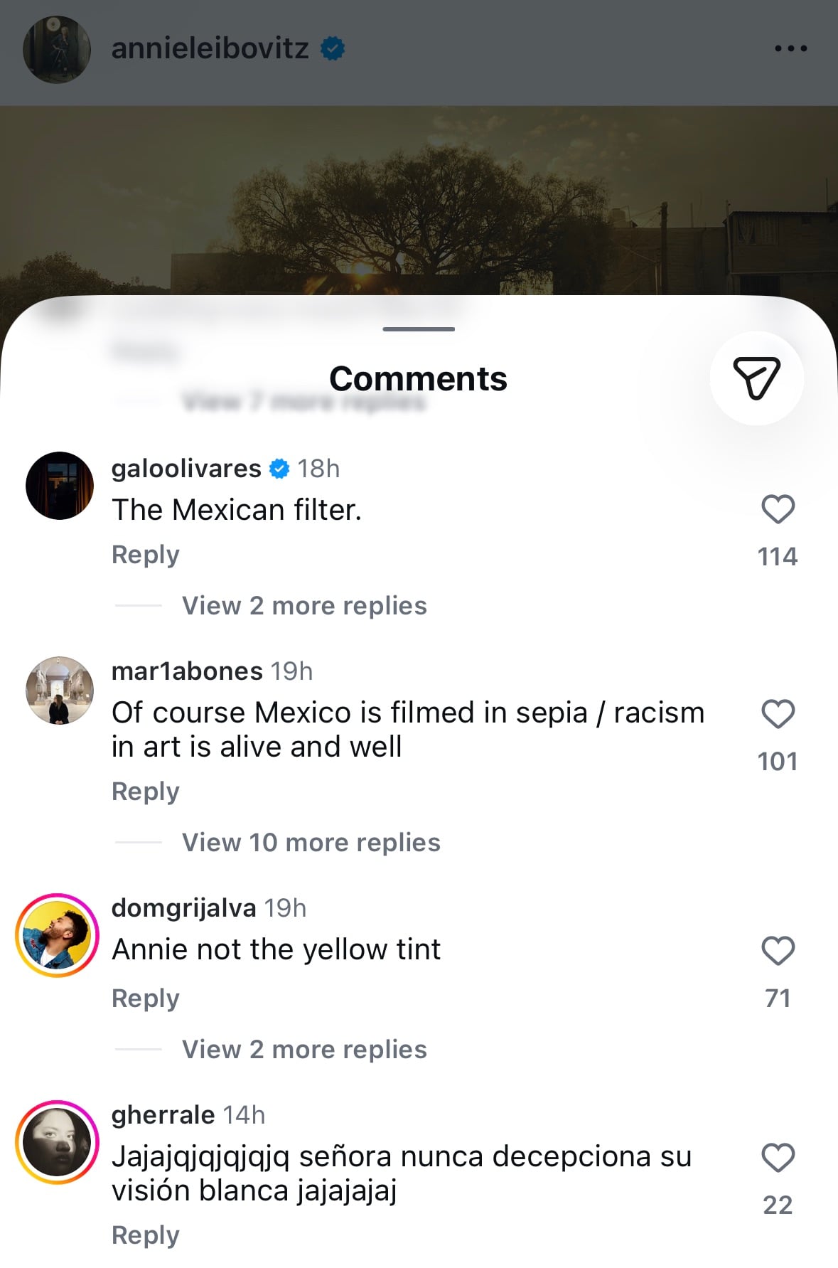 Instagram comment section under an Annie Leibovitz post. Comments mention “The Mexican filter,” sepia tones, and criticize stereotypical color grading and racial bias in art. Replies are visible under several comments.