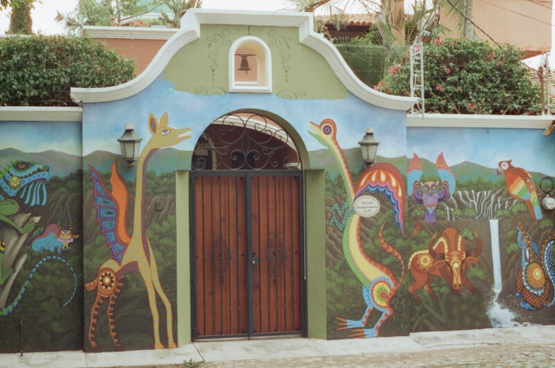 Colorful mural on a building wall depicts whimsical, brightly painted animals and nature scenes, including a giraffe, bird, fish, and waterfall, surrounding a wooden door with wrought iron accents.