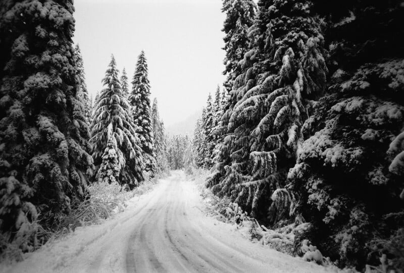 A snow-covered road winds through a forest of tall, heavily snow-laden evergreen trees under an overcast sky.