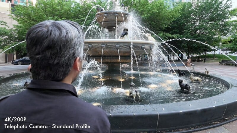 A person with gray hair stands with their back to the camera, looking at a tiered fountain decorated with small dog statues in a park.