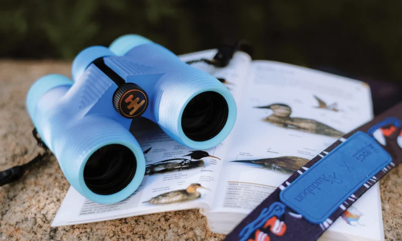 Light blue binoculars rest on an open bird guidebook displaying bird illustrations and descriptions; a lanyard lies nearby on a textured stone surface.