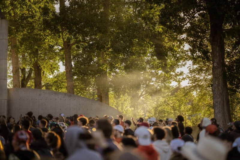A large crowd gathers outdoors under tall trees with sunlight streaming through the leaves, creating a warm and lively atmosphere.