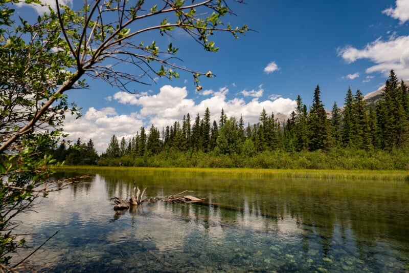 A clear, calm lake reflects surrounding evergreen trees and a partly cloudy blue sky, with branches and greenery framing the foreground.