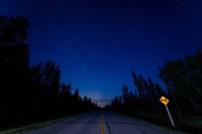 A deserted road at night, lined with tall trees on both sides, with a left-turn sign and a star-filled sky overhead.