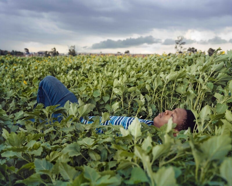 A person in a striped shirt and jeans lies peacefully on their back in a lush green field under a cloudy sky, surrounded by tall plants.