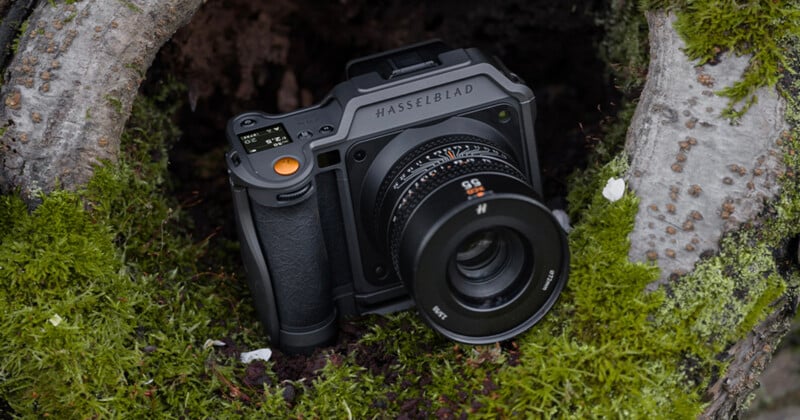 A Hasselblad camera rests on green moss inside a hollow log, showing its lens and controls clearly in a natural outdoor setting.