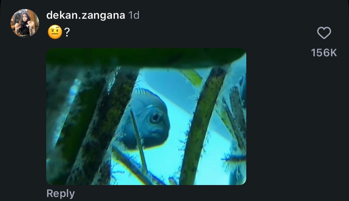 A social media comment with a thinking face emoji and a photo of a fish peeking through aquatic plants in an aquarium. The comment has 156K likes.