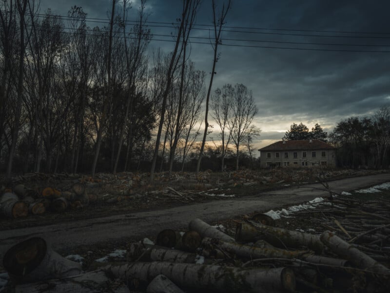 A gloomy scene shows felled trees scattered along a dirt road, with tall, bare trees and an old building in the background under a cloudy evening sky.