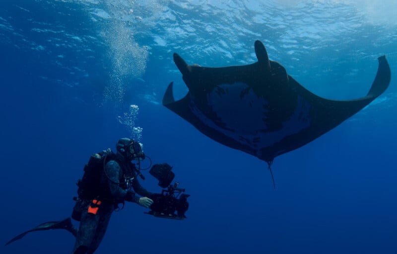 A scuba diver with a camera films a large manta ray swimming overhead in clear blue ocean water, with sunlight filtering from the surface above.