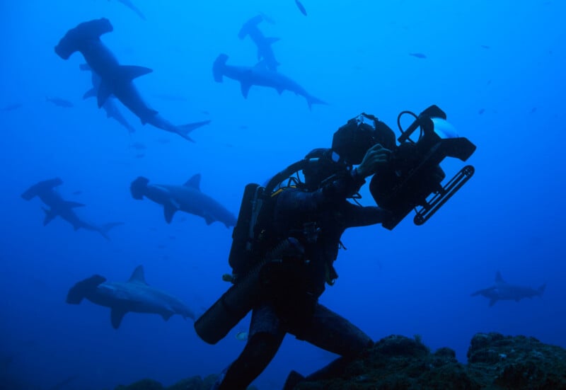 A scuba diver with an underwater camera films a group of hammerhead sharks swimming in the deep blue ocean. The diver is silhouetted against the light, surrounded by several sharks.