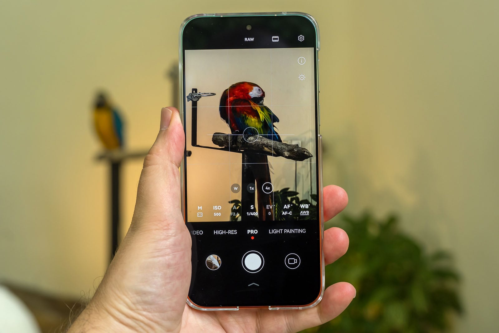 A hand holds a smartphone taking a photo of a colorful parrot perched on a stand, with another parrot blurred in the background.