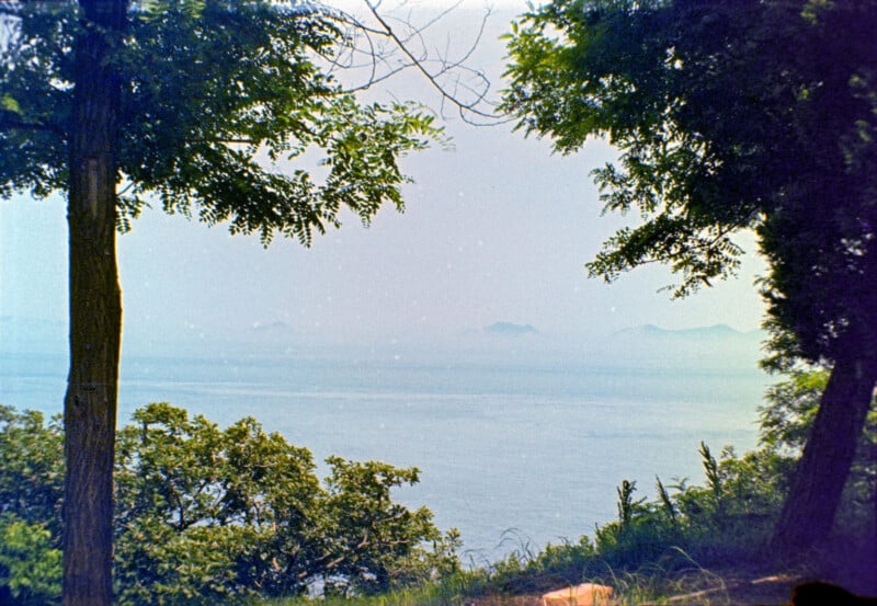 View of a calm sea through tree branches and foliage, with distant mountains visible under a hazy sky. The scene is peaceful and slightly misty, giving a tranquil and serene atmosphere.