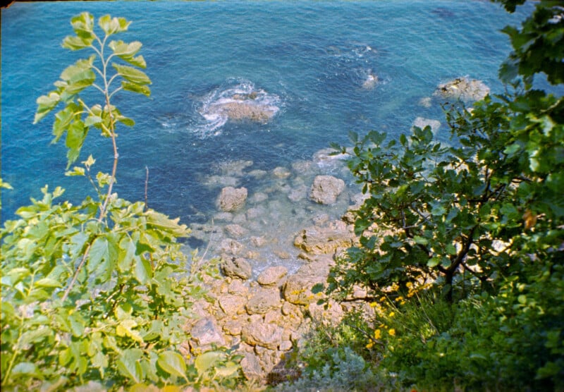 View from a cliff through green foliage overlooking clear blue water and rocks along the shoreline below.