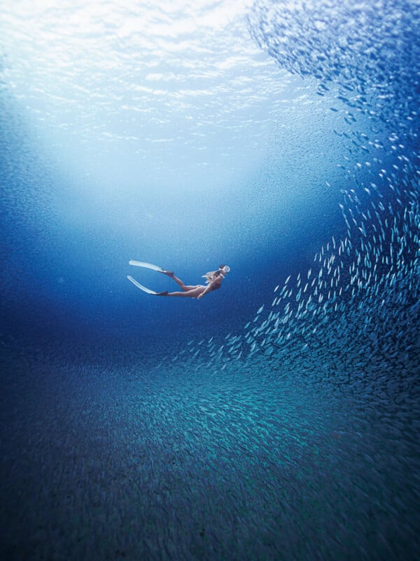 A person with fins swims underwater among a large school of fish, surrounded by deep blue water and light filtering from above.