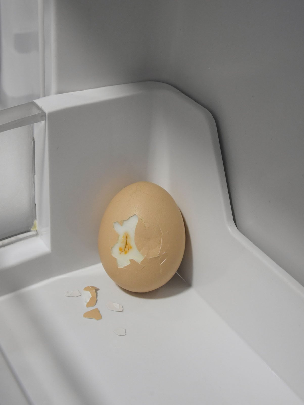 A brown egg with a bite taken out of it sits on a white refrigerator shelf. Some eggshell pieces are scattered nearby.
