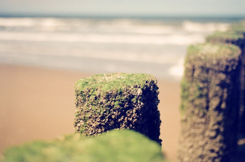 A close-up of weathered, moss-covered wooden posts on a sandy beach with ocean waves blurred in the background.