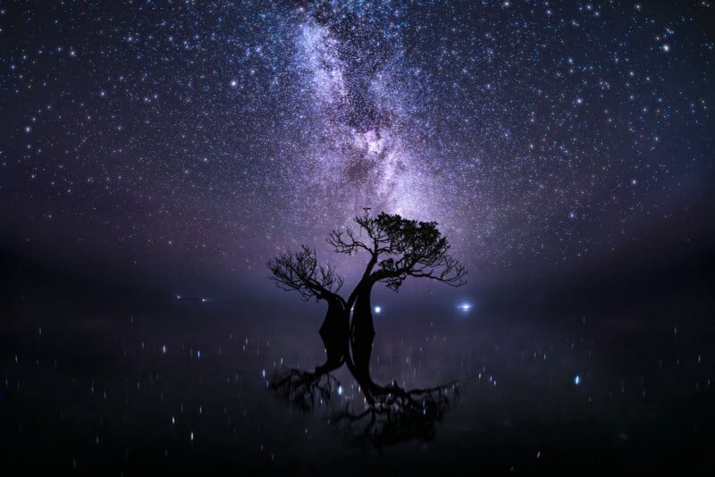 A silhouette of a tree stands in calm water at night, with the bright Milky Way and countless stars visible in the dark sky above, creating a magical and serene atmosphere.