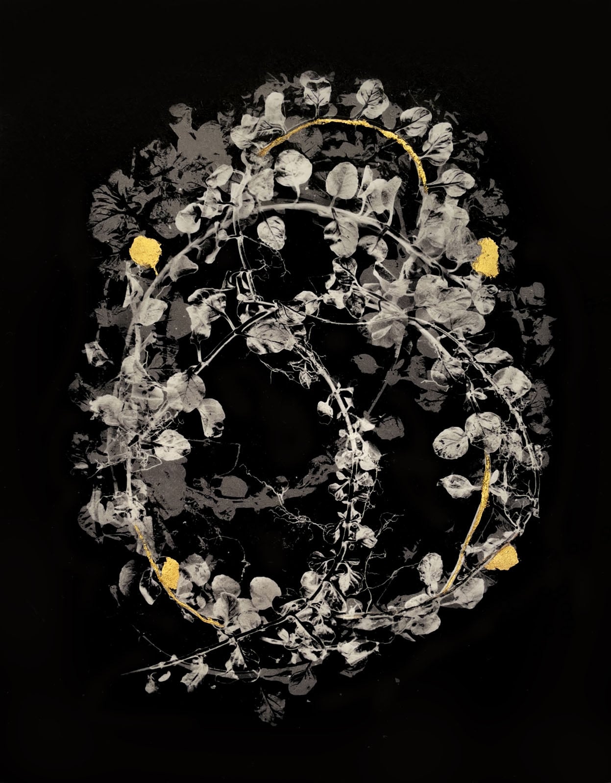 A circular arrangement of monochrome, ghostly plant stems and leaves on a black background, accented with four small gold-leaf patches.