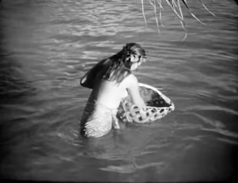 A person standing waist-deep in water holds a large woven basket, appearing to gather or wash something. Long hair is tied back, and some overhanging leaves are visible at the top right. The scene is in black and white.