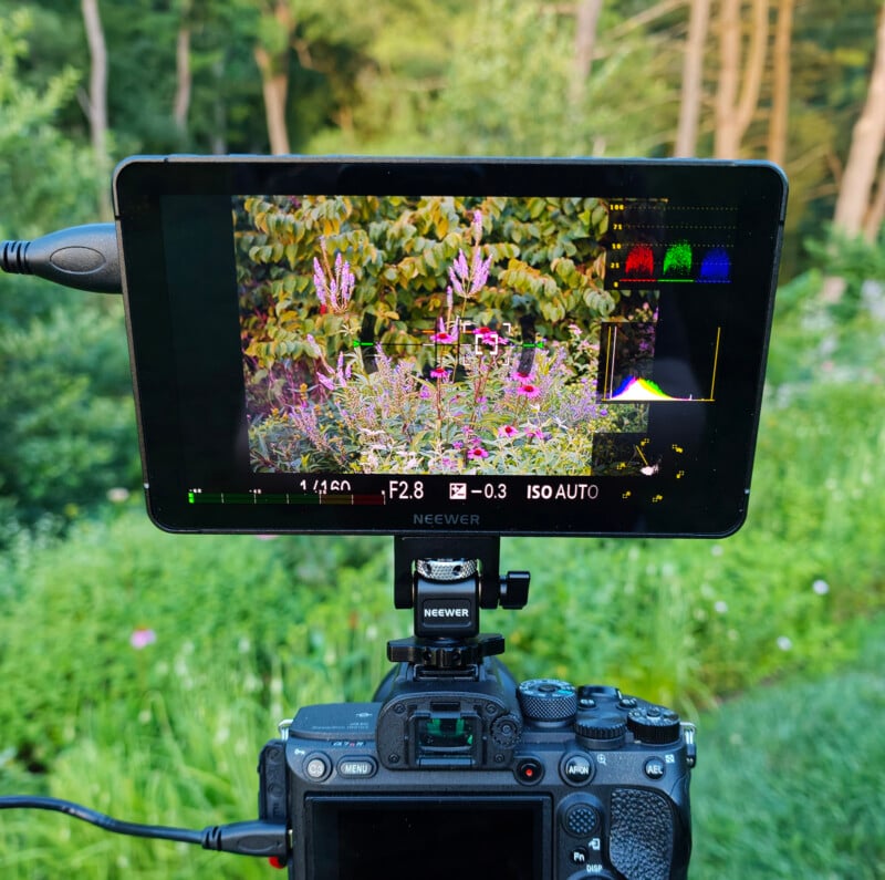 A camera on a tripod with a Neewer monitor displays a close-up shot of pink flowers and green foliage in an outdoor garden setting. Histogram and camera settings are visible on the monitor screen.