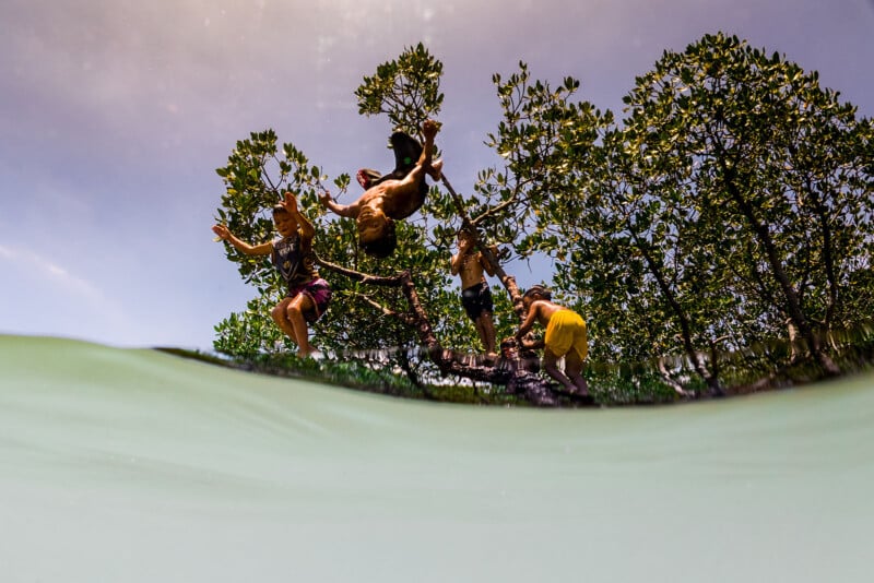 Four children jump into the water from a tree, with green leaves and branches behind them. The photo is half underwater, showing a split view of the scene. The sky above is clear and bright.