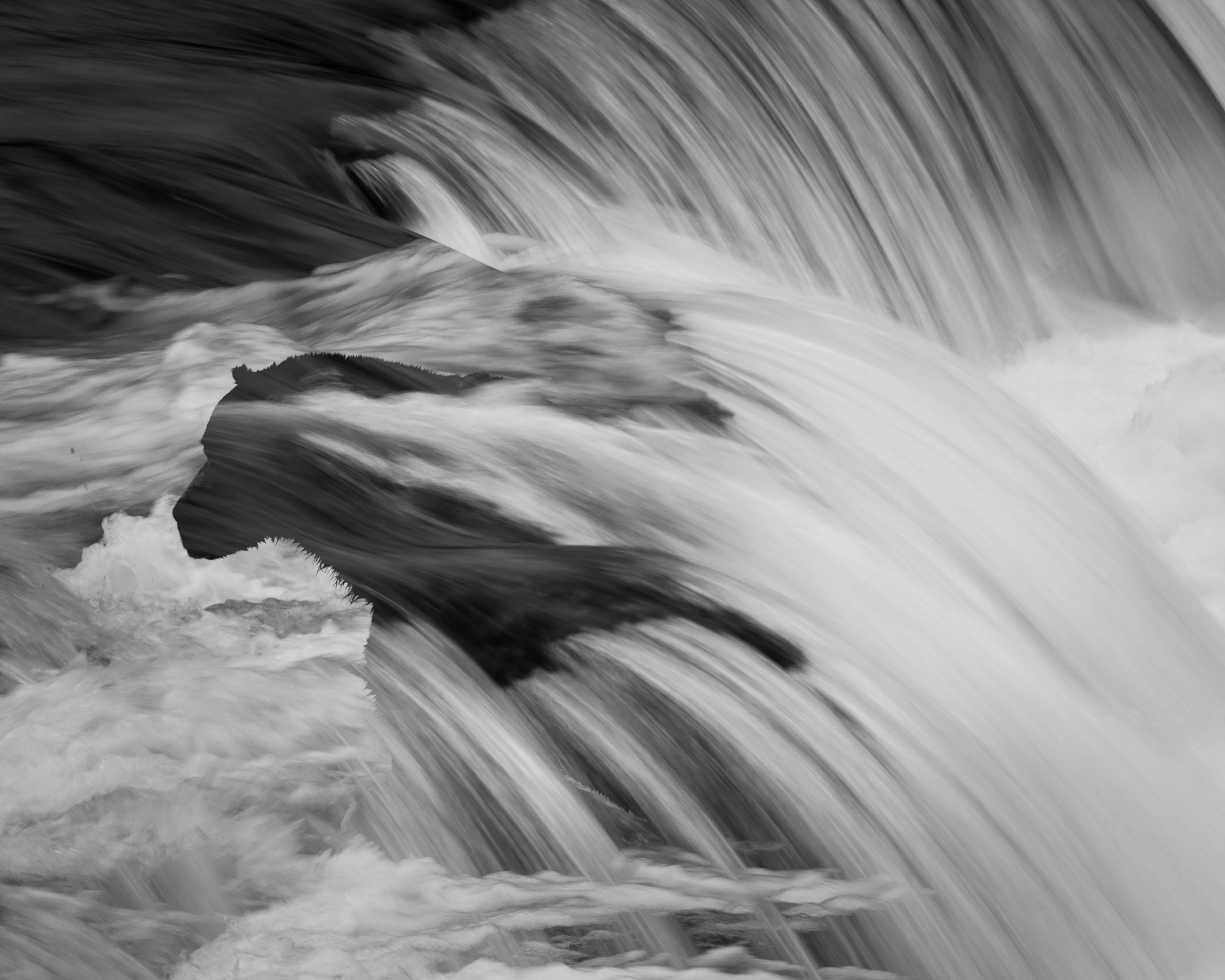 A black and white photo of a bear standing in a rushing waterfall, partially obscured by the flowing water.