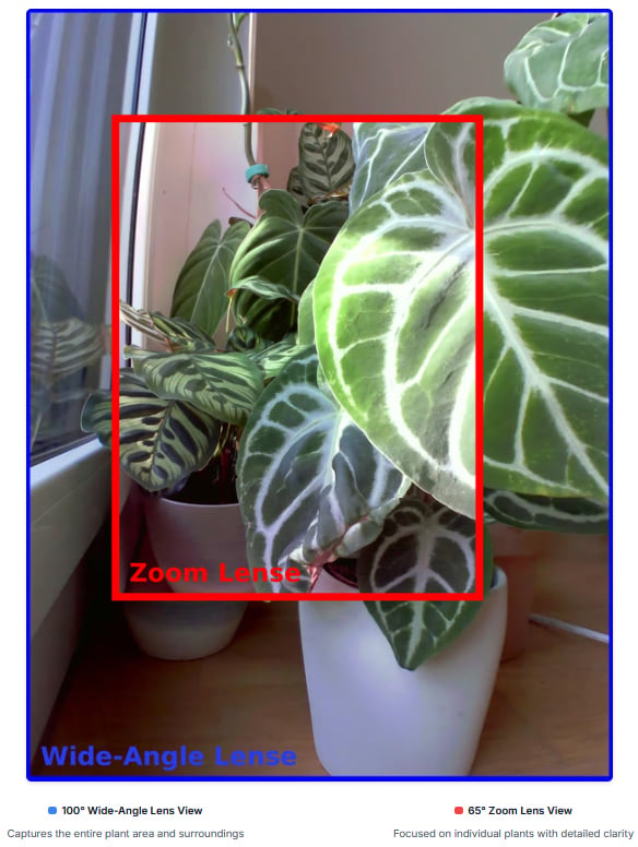A leafy plant by a window in a white pot. A red box labeled "Zoom Lens" highlights detailed leaves, while the background labeled "Wide-Angle Lens" shows more of the plant and surroundings.