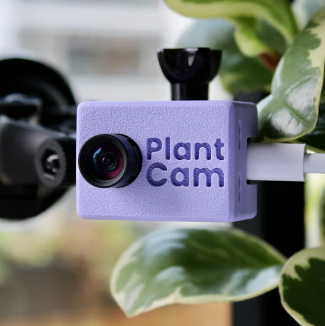 A small purple camera labeled "Plant Cam" is mounted near a green and white variegated plant, with a blurred indoor background.