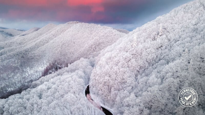 A winding road cuts through a forest of snow-covered trees on rolling hills, with a dramatic pink and purple sky above. A circular “Tennessee Vax It’s Safe” logo is in the lower right corner.