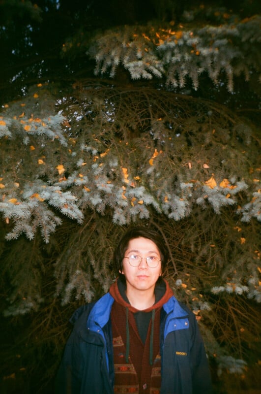 A person with glasses and long hair stands in front of a large pine tree, wearing a blue jacket and patterned scarf. Yellow leaves are scattered among the tree branches above.