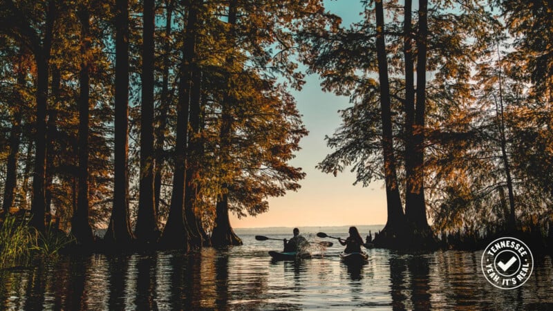 Two people kayaking on calm water surrounded by tall trees at sunset, with the sky reflecting on the water and a “Tennessee Vacation” logo in the bottom right corner.