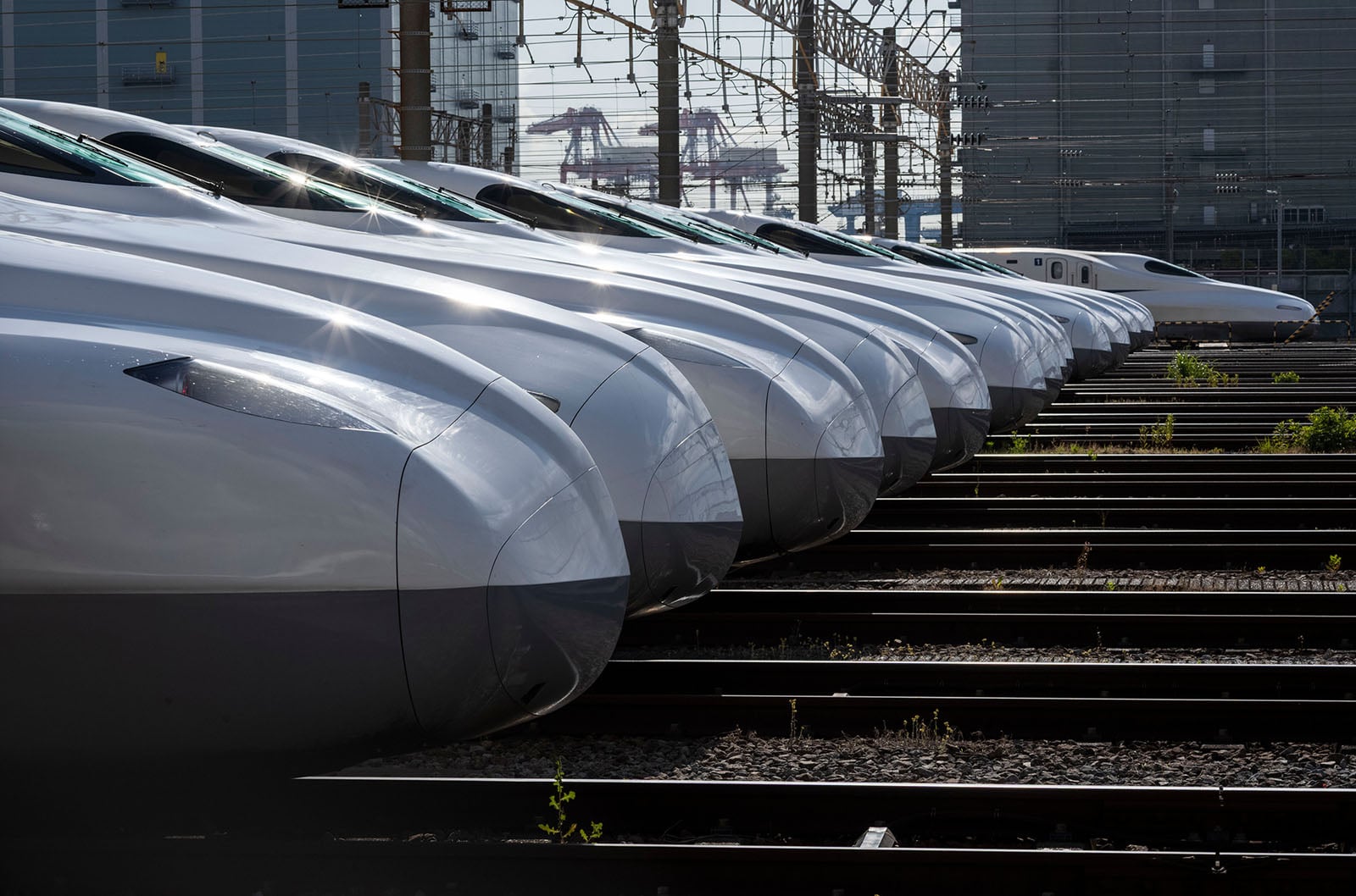 A row of sleek, white bullet trains parked side by side on railway tracks, with their pointed noses aligned, under bright daylight.