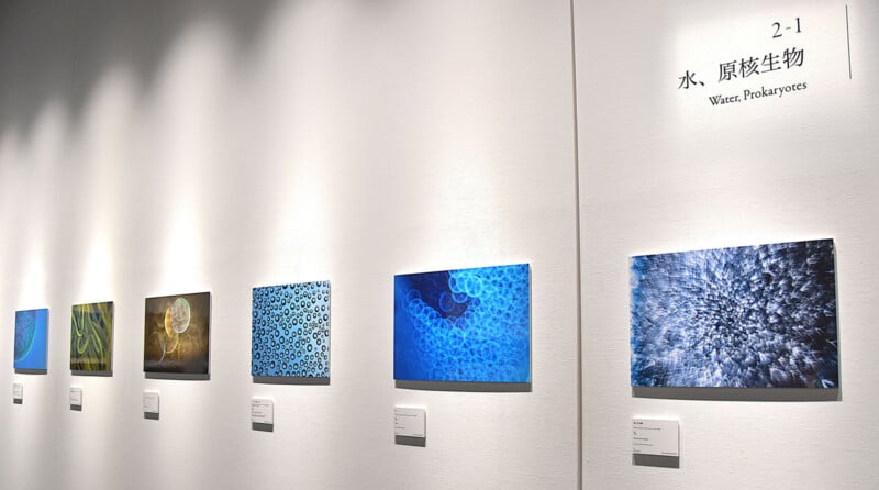 A gallery wall displays six framed photographs under the heading "2-1 水、原核生物 Water, Prokaryotes," with each image accompanied by a small descriptive placard.