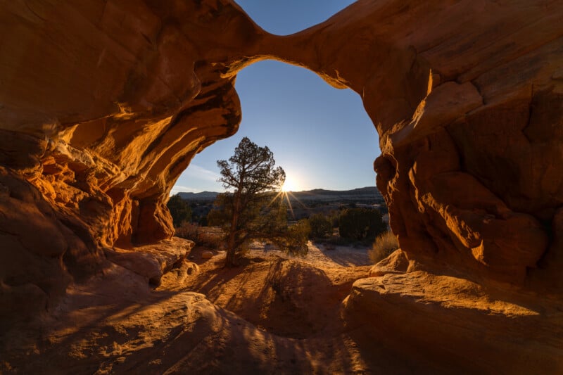 A sunlit tree stands framed by a natural red rock arch at sunrise, with warm light casting long shadows across rugged terrain and distant hills under a clear blue sky.
