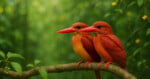 Two bright orange kingfishers with large red beaks sit side by side on a branch, surrounded by lush green foliage and soft, out-of-focus yellow flowers in the background.
