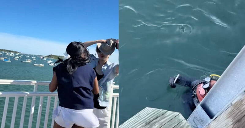 A woman knocks a hat off a man on a dock over water; on the right, a diver in the water holds the hat near the dock.
