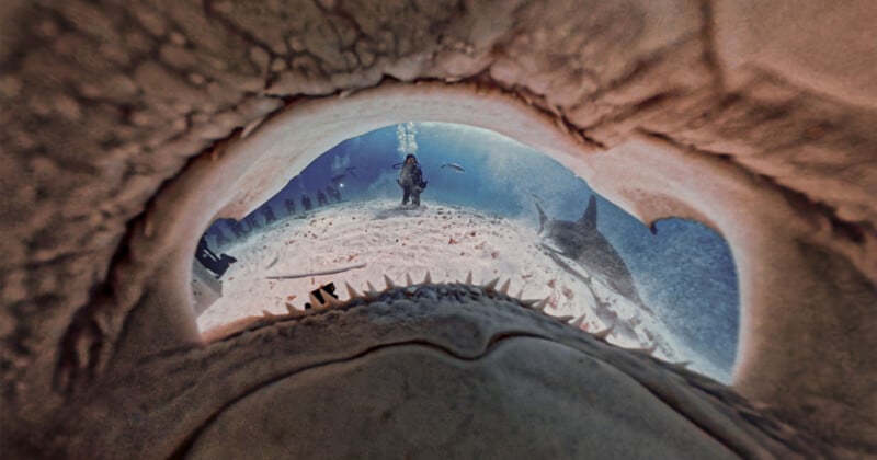 A diver underwater is seen through the open jaws of a shark, with sharp teeth visible in the foreground and another shark swimming nearby in the blue ocean.