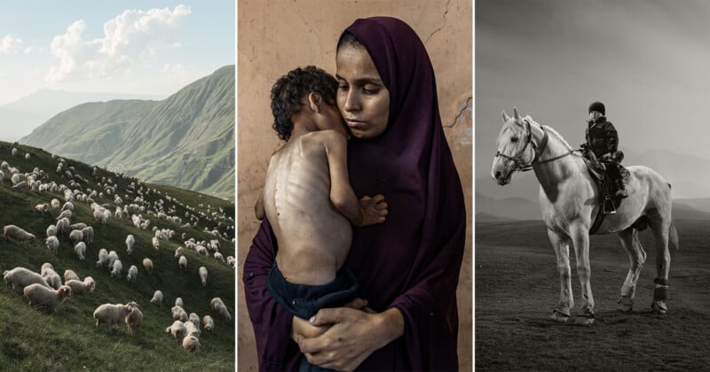 A triptych: left, sheep on a green hillside; center, a woman in a purple veil holds a malnourished child; right, a person in dark clothing rides a white horse on a plain under a cloudy sky.