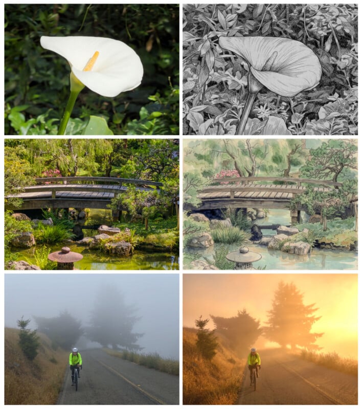 A collage: top row shows a white calla lily photo and its sketch; middle row shows a bridge in a garden and its colored drawing; bottom row shows a cyclist on a road in fog, then in golden sunlight.