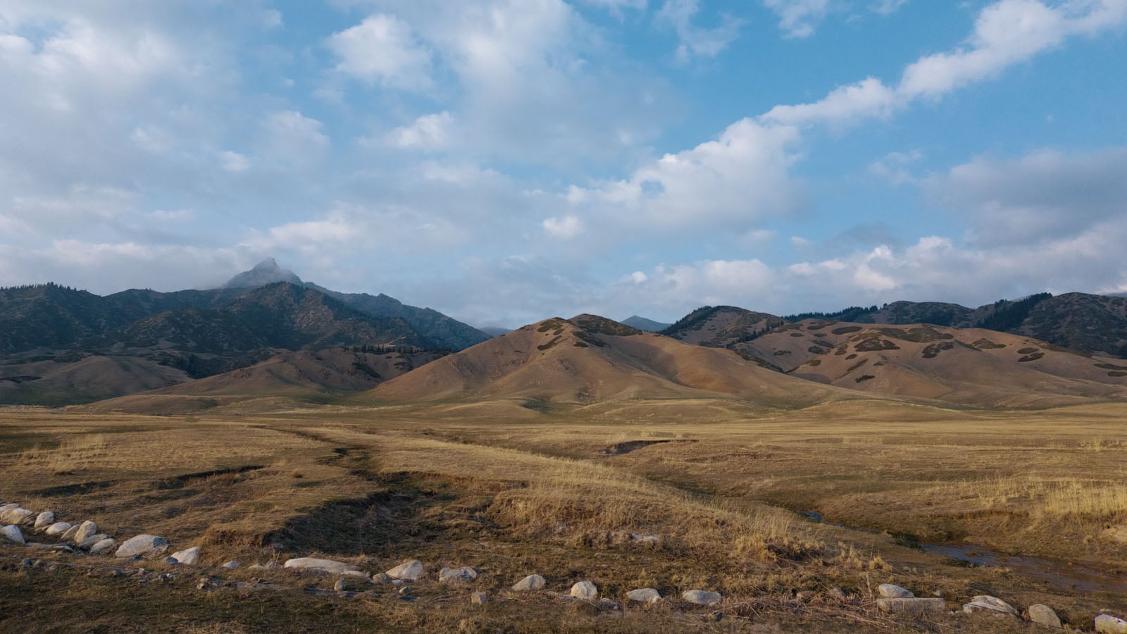 A wide, dry, golden-grassed valley stretches toward a range of rolling, tan-colored hills under a partly cloudy blue sky.