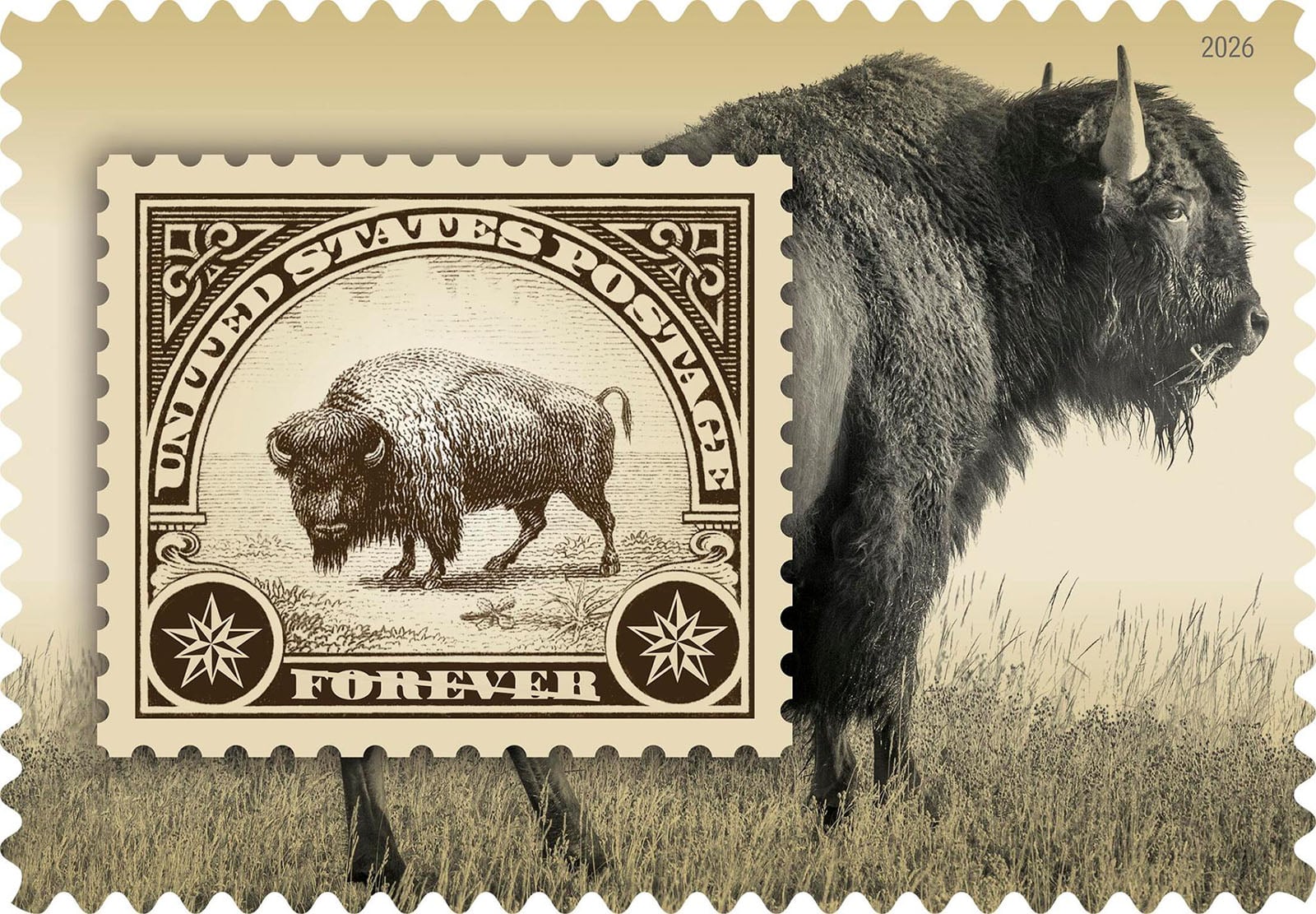 A U.S. postage stamp with a bison illustration is overlaid on a sepia-toned photo of a real bison standing in grass. The word "FOREVER" appears on the stamp.