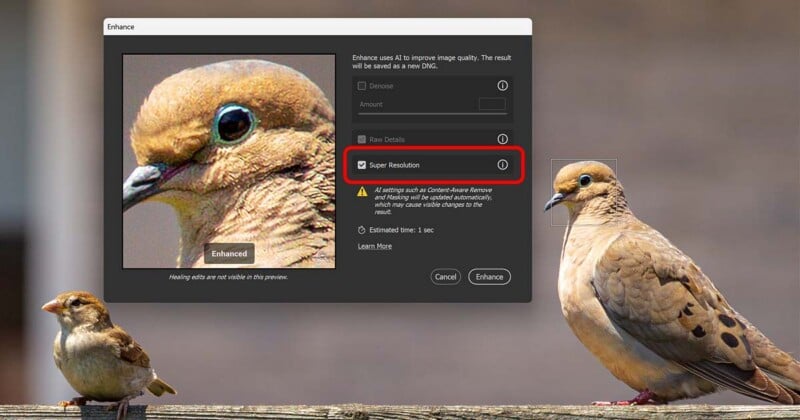 A photo editing software window displays a zoomed-in bird image with an option labeled "Super Resolution" highlighted. In the background, two birds perch on a wooden surface.