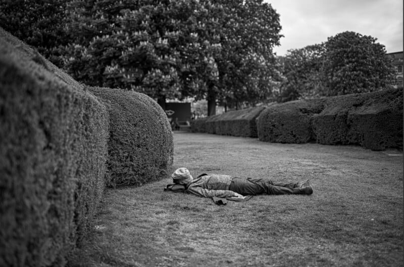 A person lies face-down on grass near trimmed hedges in a park-like setting, surrounded by large trees. The image is in black and white.