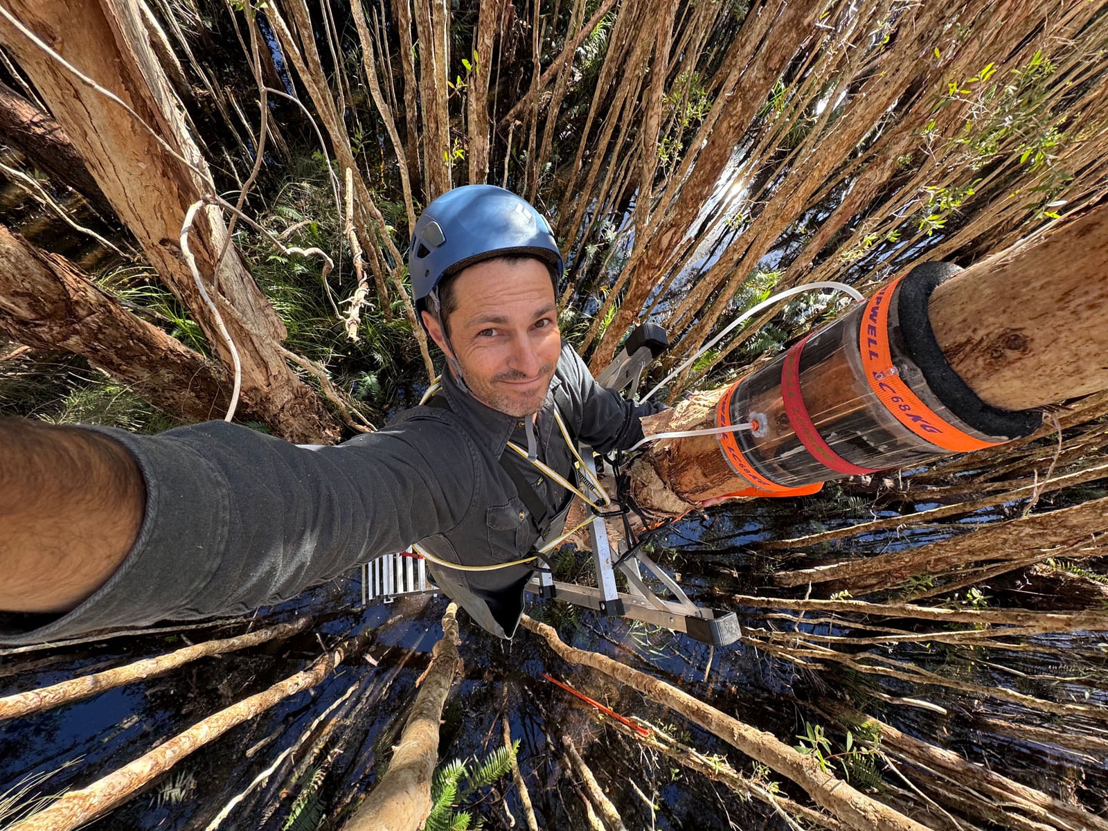A man wearing a blue climbing helmet and harness takes a selfie while standing on a ladder in a flooded forest, attached to a tree trunk with a clear plastic device strapped around it.