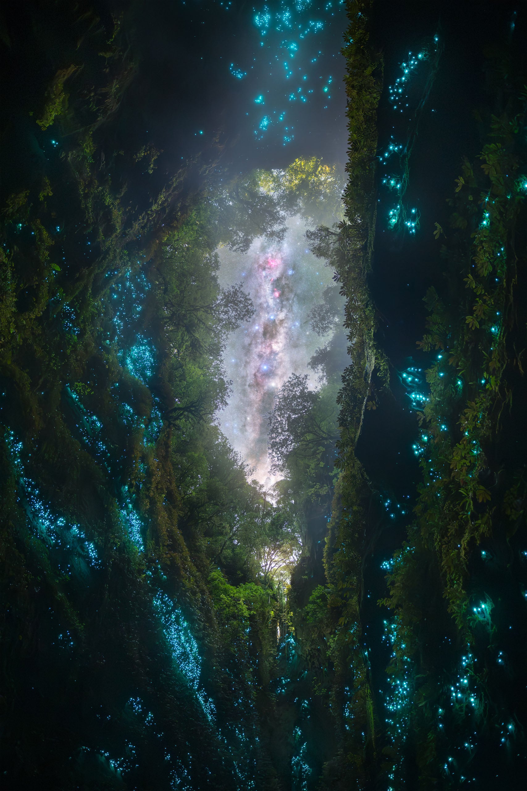 A narrow, mossy canyon wall covered in glowing blue bioluminescent organisms opens up to a view of a starry night sky.