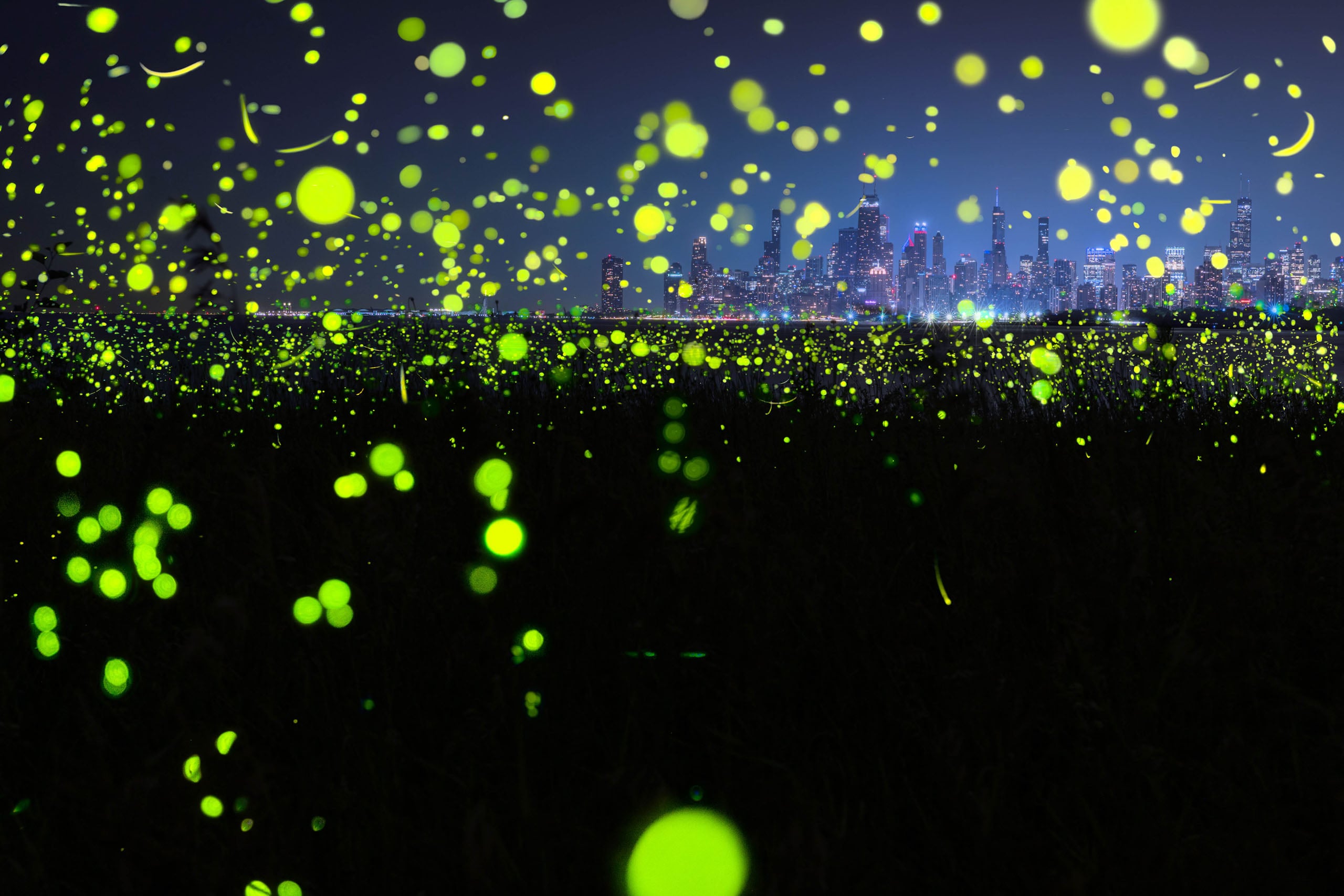 A field of glowing green fireflies at night with a distant city skyline illuminated on the horizon.